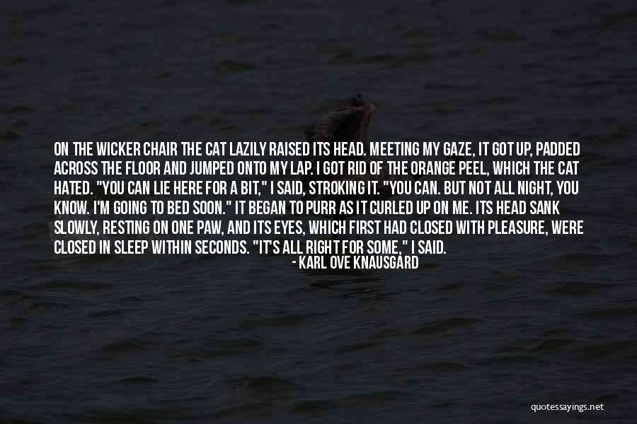 Lachmann Elektro Quotes By Karl Ove Knausgard Lachmann Elektro Quotes By Karl Ove Knausgard