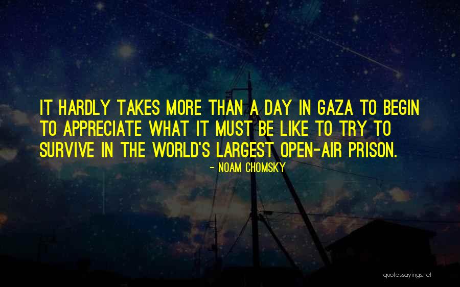 Lachowicz Restaurant Quotes By Noam Chomsky Lachowicz Restaurant Quotes By Noam Chomsky