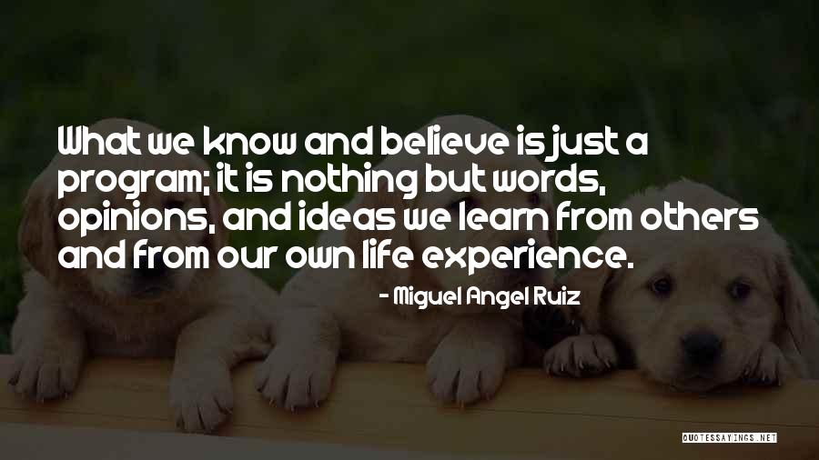 Lachrymal Secretion Quotes By Miguel Angel Ruiz Lachrymal Secretion Quotes By Miguel Angel Ruiz