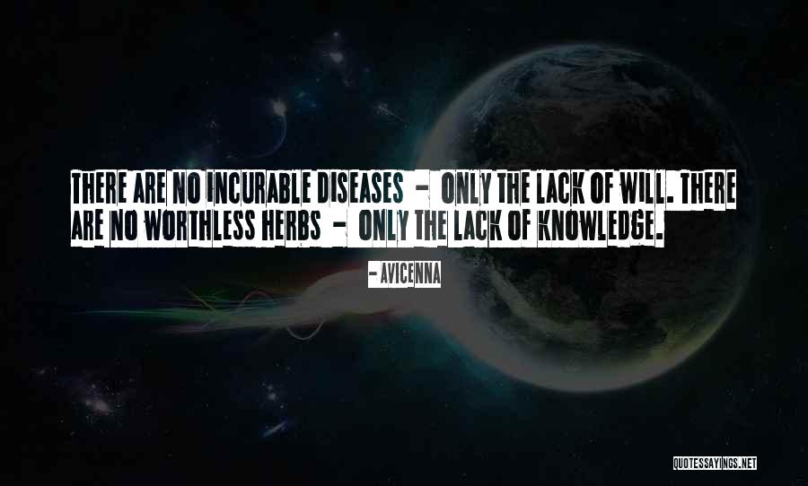 Lacivert Rengi Quotes By Avicenna Lacivert Rengi Quotes By Avicenna