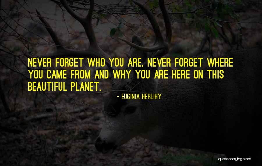 Lack And Limits Quotes By Euginia Herlihy Lack And Limits Quotes By Euginia Herlihy