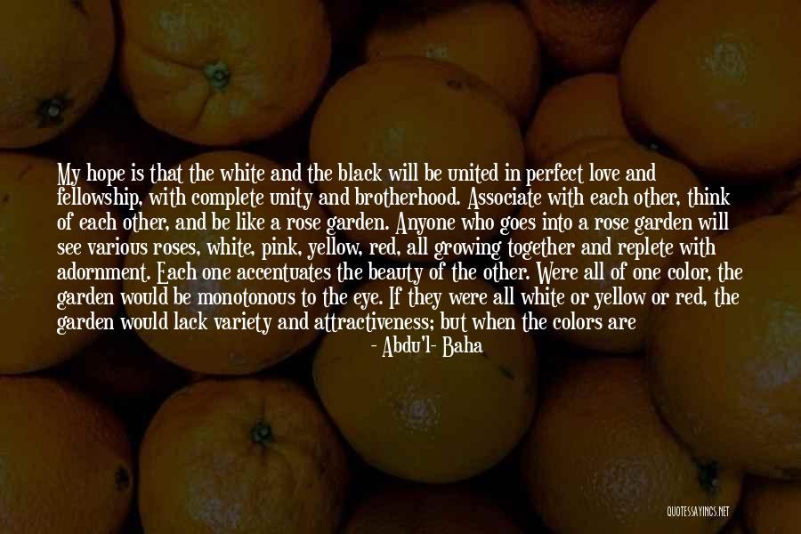 Lack Of Color Quotes By Abdu'l- Baha Lack Of Color Quotes By Abdu'l- Baha