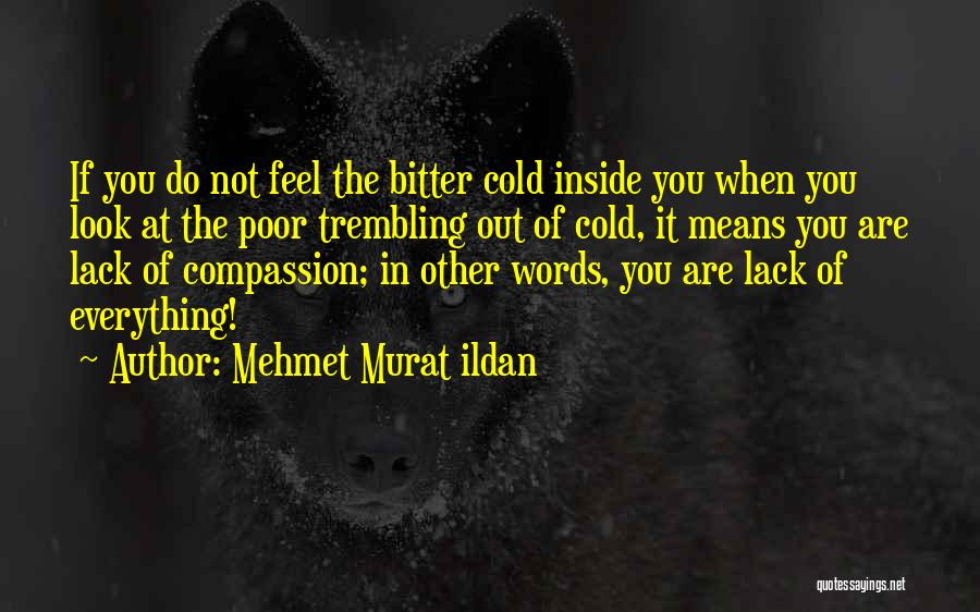 Lack Of Compassion Quotes By Mehmet Murat Ildan