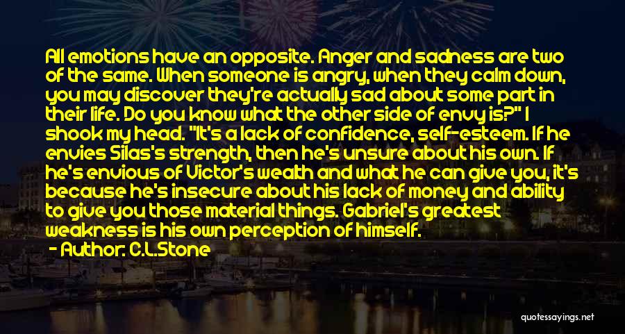 Lack Of Confidence Quotes By C.L.Stone