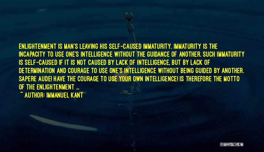 Lack Of Courage Quotes By Immanuel Kant