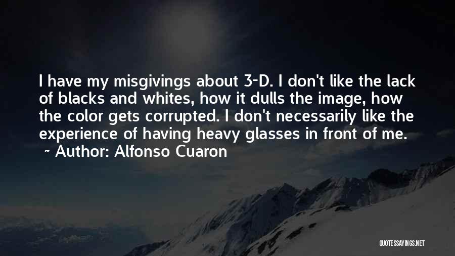 Lack Of Experience Quotes By Alfonso Cuaron