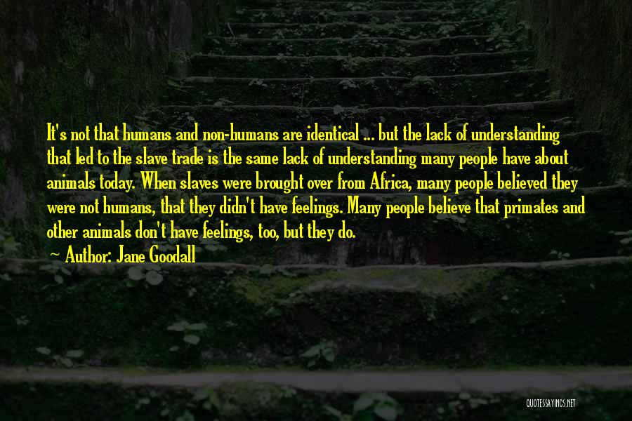 Lack Of Feelings Quotes By Jane Goodall