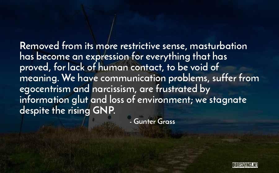 Lack Of Information Quotes By Gunter Grass Lack Of Information Quotes By Gunter Grass