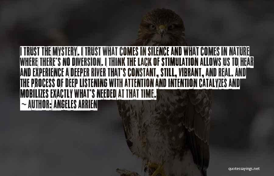 Lack Of Trust Quotes By Angeles Arrien