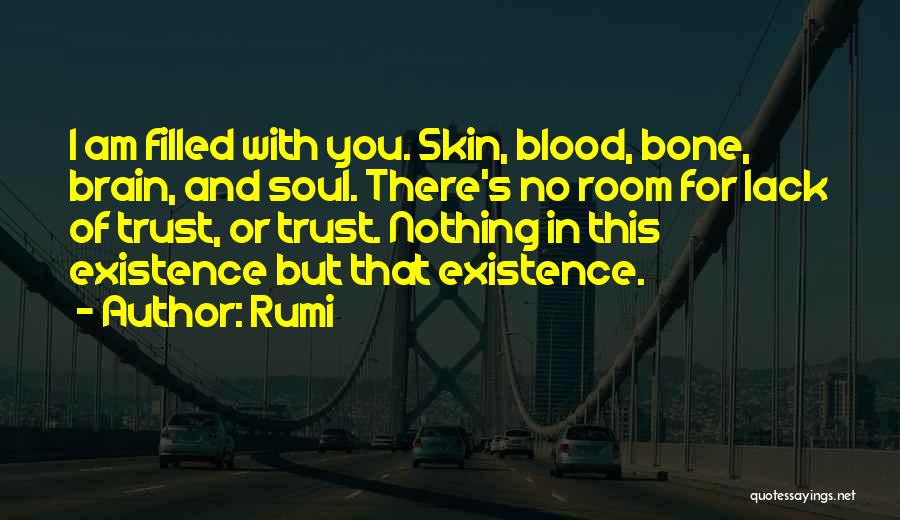 Lack Of Trust Quotes By Rumi