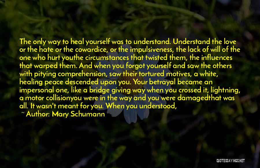 Lack Of Understanding In Love Quotes By Mary Schumann