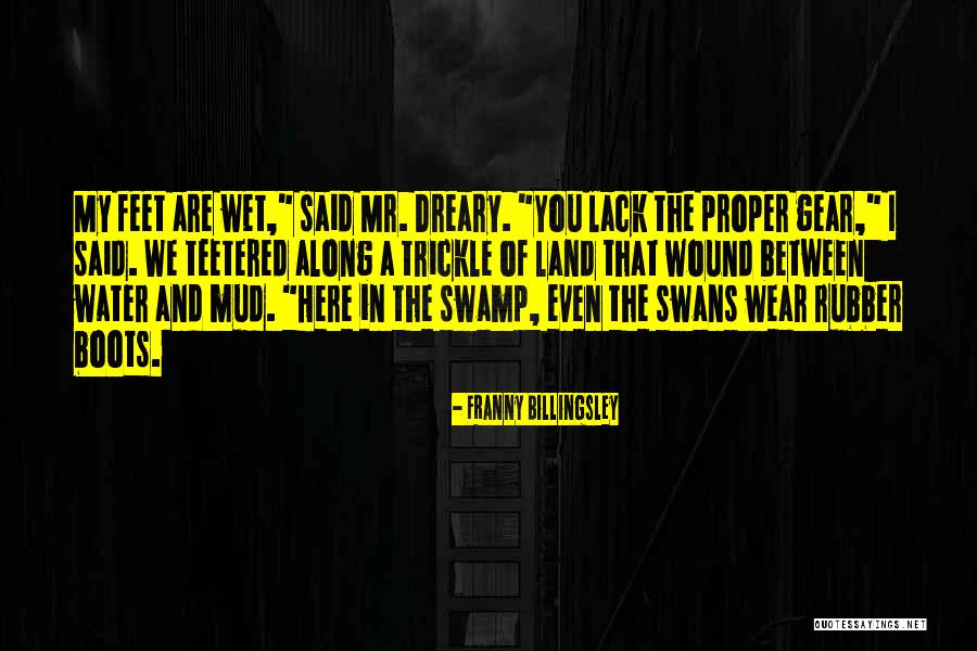 Lack Of Water Quotes By Franny Billingsley Lack Of Water Quotes By Franny Billingsley