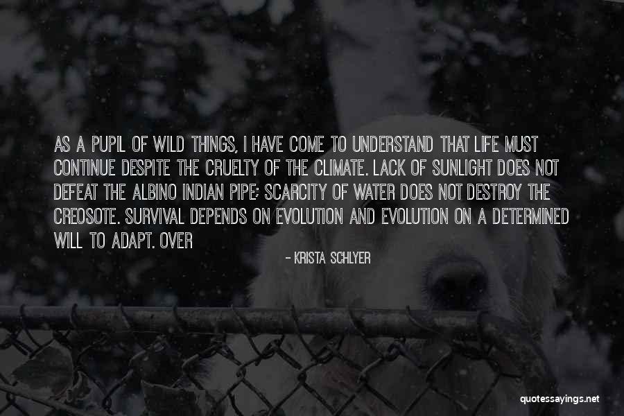 Lack Of Water Quotes By Krista Schlyer Lack Of Water Quotes By Krista Schlyer