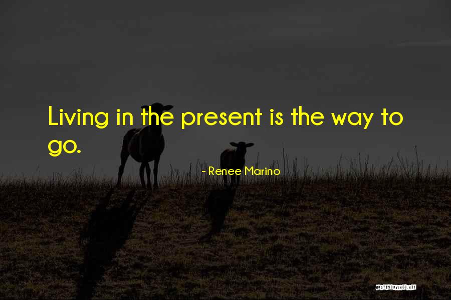 Lacognata Surname Quotes By Renee Marino Lacognata Surname Quotes By Renee Marino