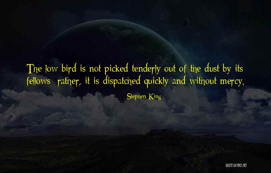 Lacolle Quebec Quotes By Stephen King Lacolle Quebec Quotes By Stephen King