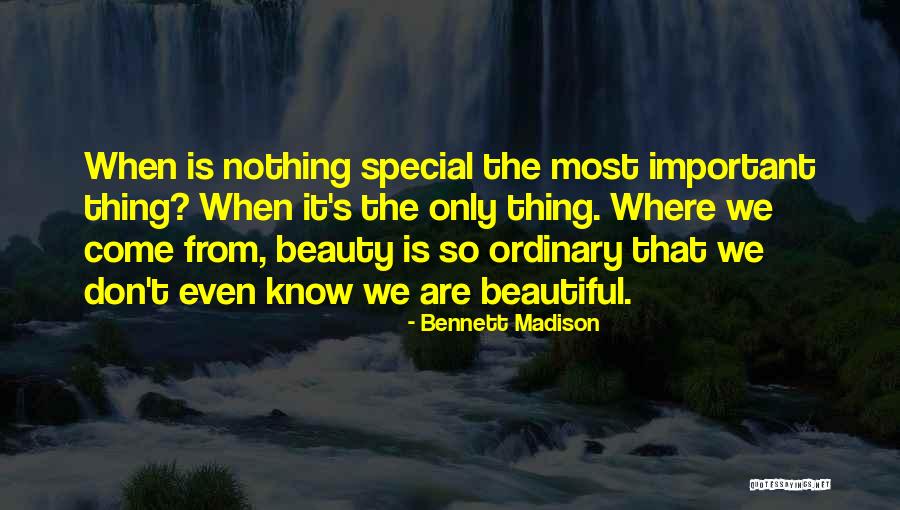 Laconic In A Sentence Quotes By Bennett Madison Laconic In A Sentence Quotes By Bennett Madison