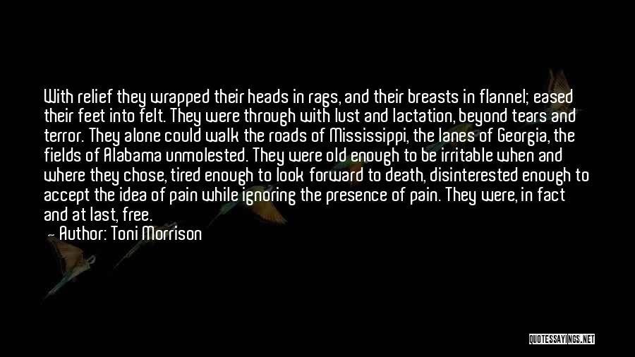 Lactation Quotes By Toni Morrison