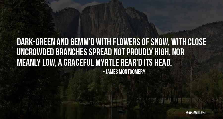 Laction Cookie Quotes By James Montgomery Laction Cookie Quotes By James Montgomery