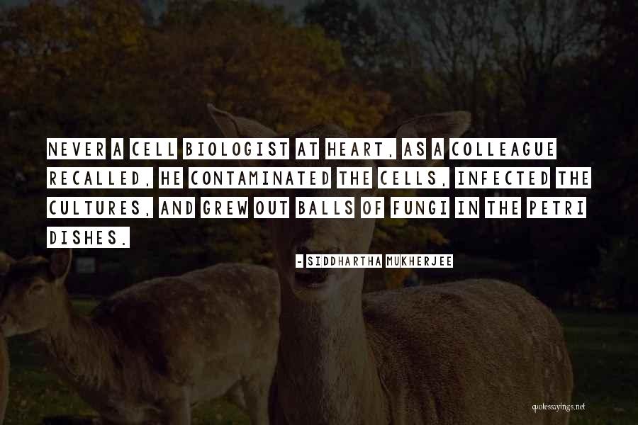 Ladawn Hodges Quotes By Siddhartha Mukherjee Ladawn Hodges Quotes By Siddhartha Mukherjee