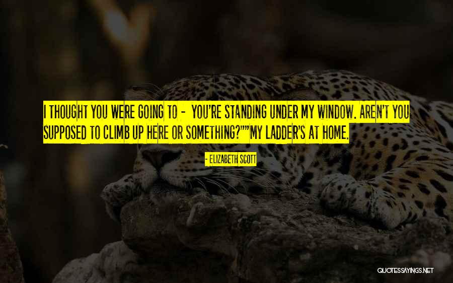 Ladder Climb Quotes By Elizabeth Scott Ladder Climb Quotes By Elizabeth Scott