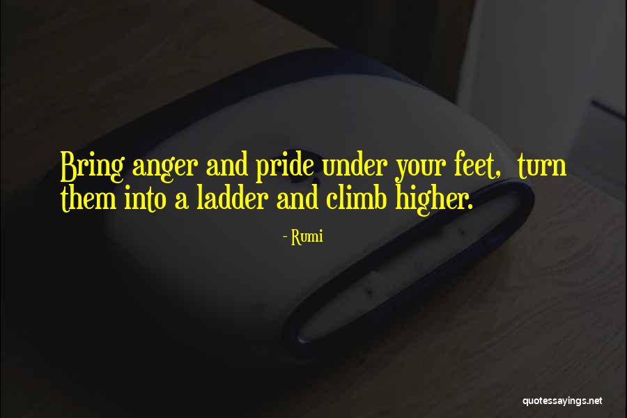 Ladder Climb Quotes By Rumi Ladder Climb Quotes By Rumi