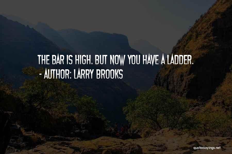 Ladder Love Quotes By Larry Brooks