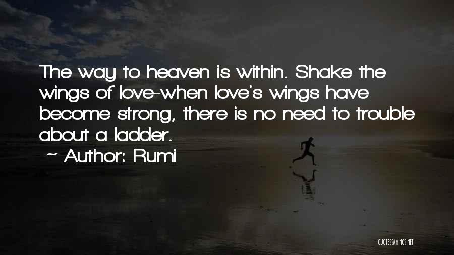 Ladder Love Quotes By Rumi