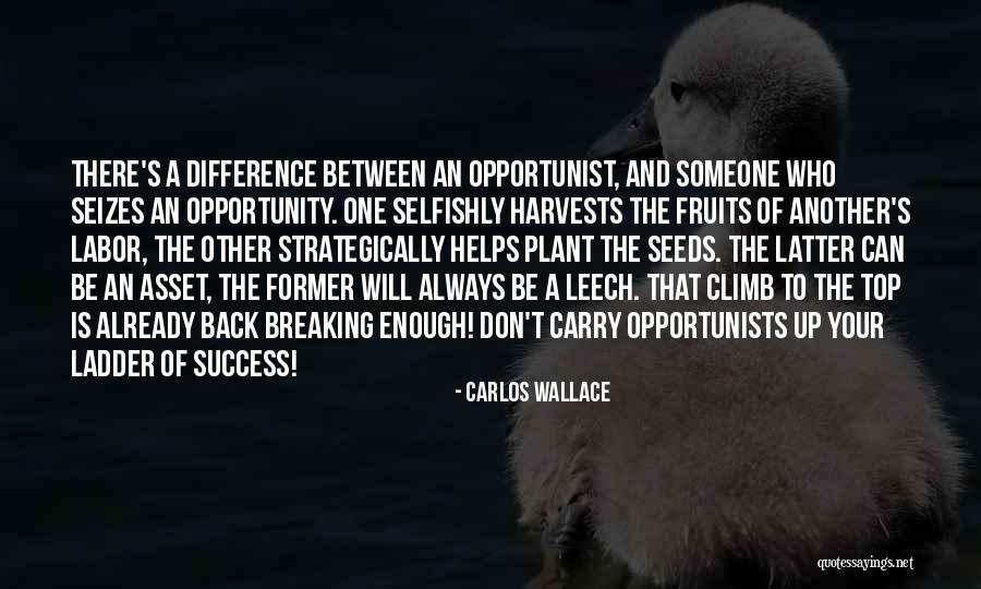 Ladder Of Success Quotes By Carlos Wallace Ladder Of Success Quotes By Carlos Wallace
