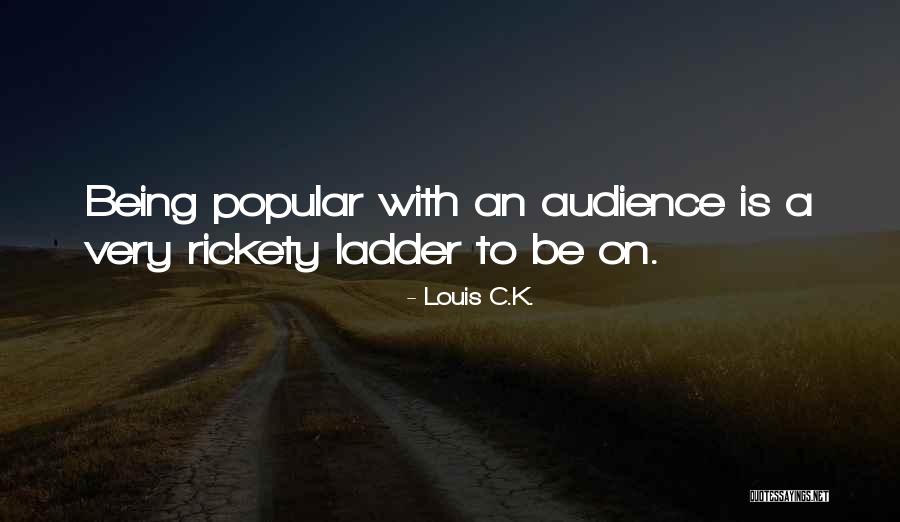 Ladder Quotes By Louis C.K.