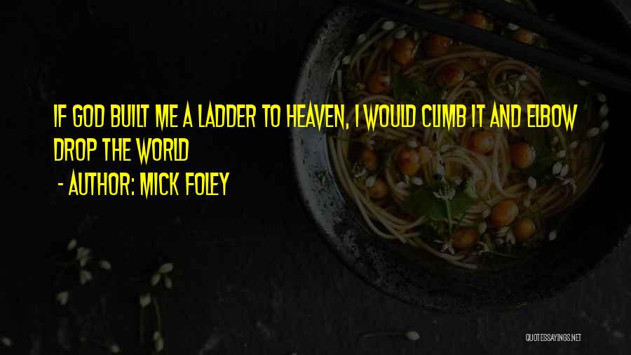 Ladder To Heaven Quotes By Mick Foley