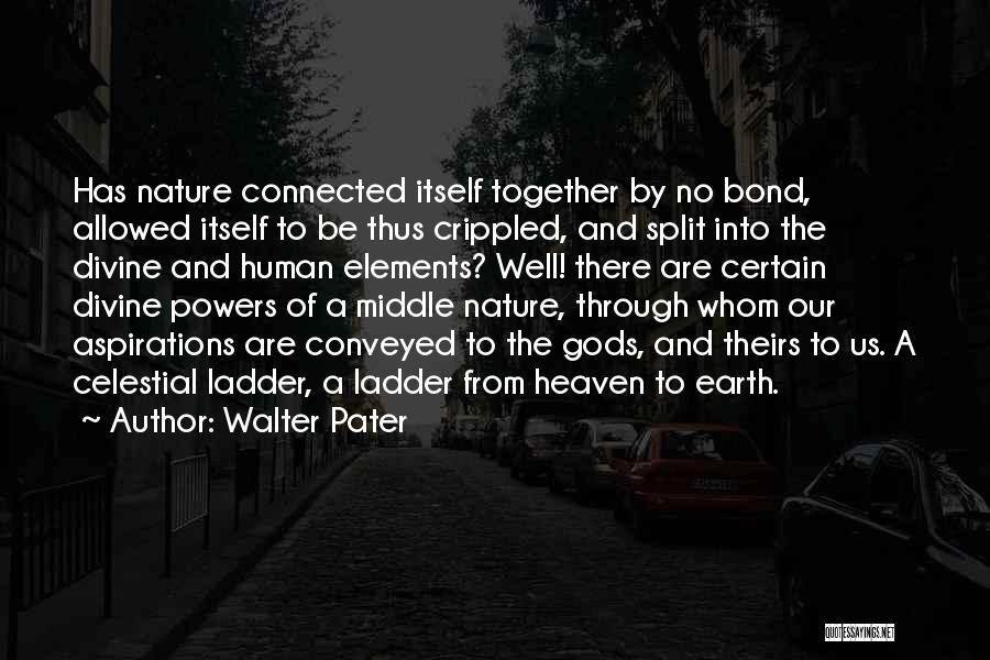 Ladder To Heaven Quotes By Walter Pater
