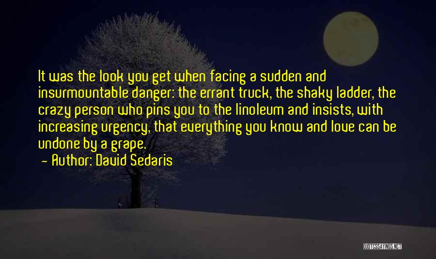 Ladder Truck Quotes By David Sedaris