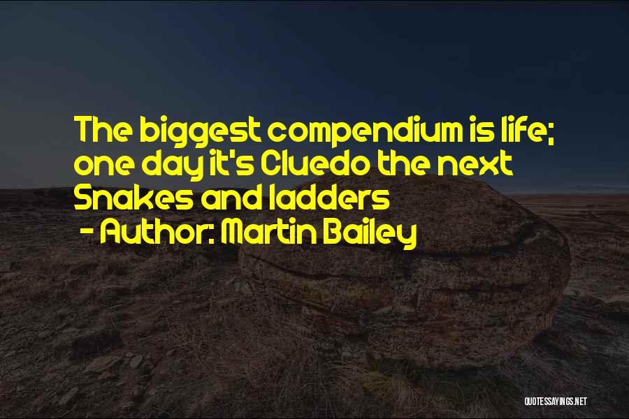 Ladders And Life Quotes By Martin Bailey