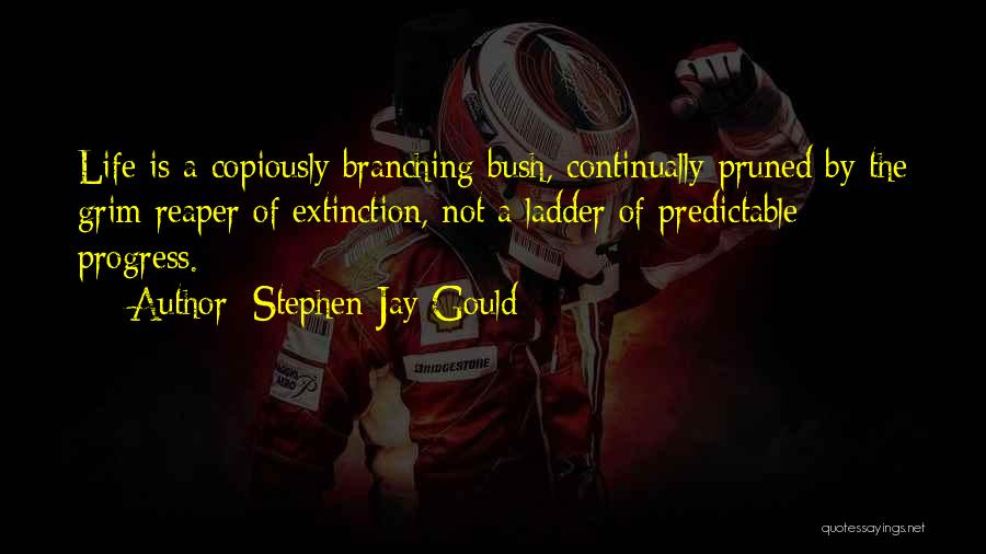 Ladders And Life Quotes By Stephen Jay Gould