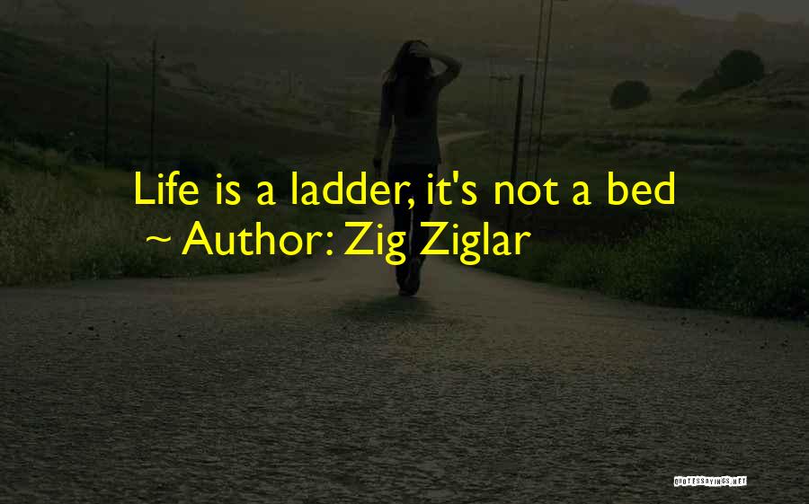 Ladders And Life Quotes By Zig Ziglar