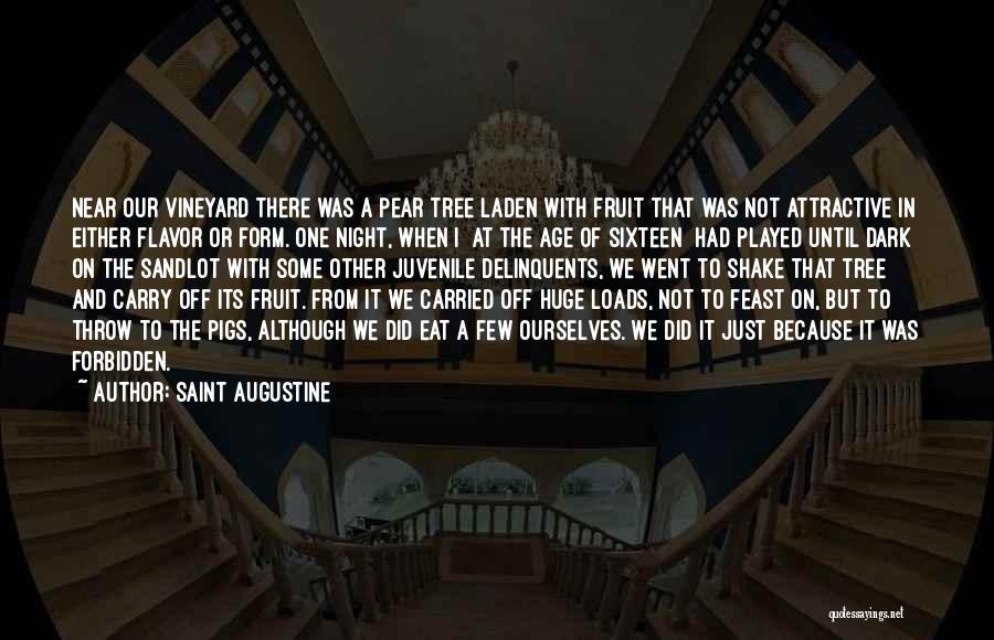 Laden Quotes By Saint Augustine