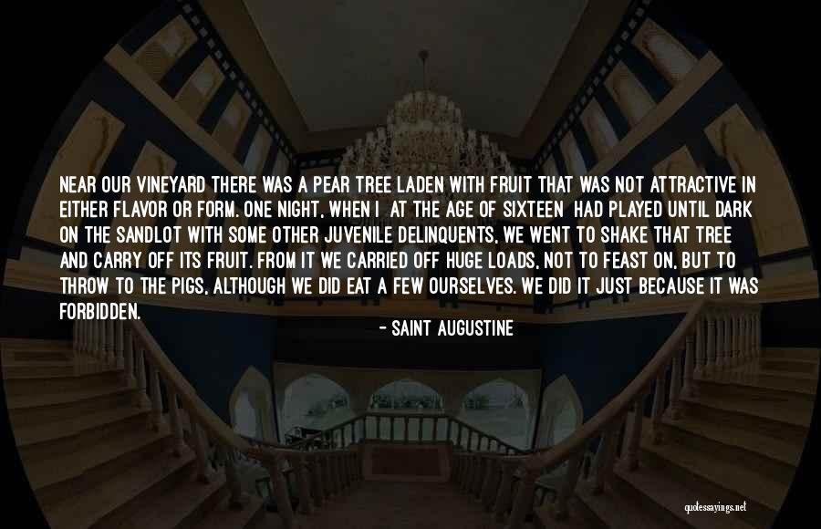 Laden Quotes By Saint Augustine