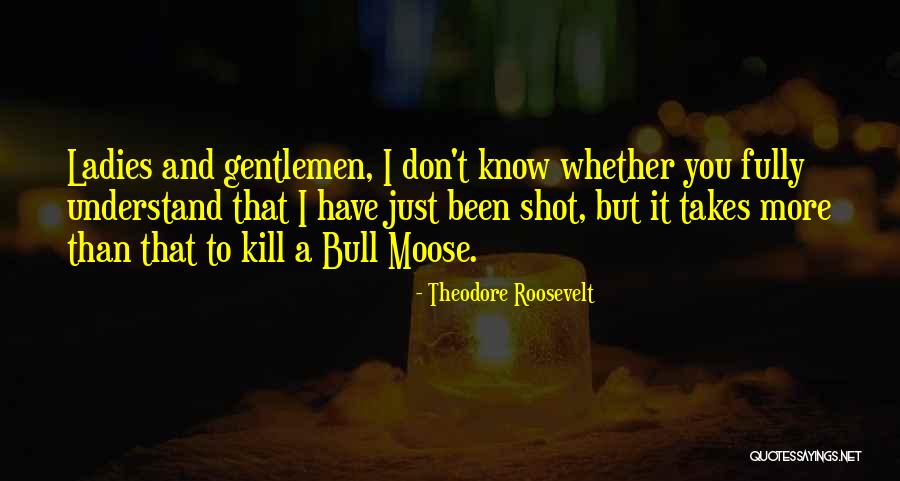 Ladies And Gentleman Quotes By Theodore Roosevelt