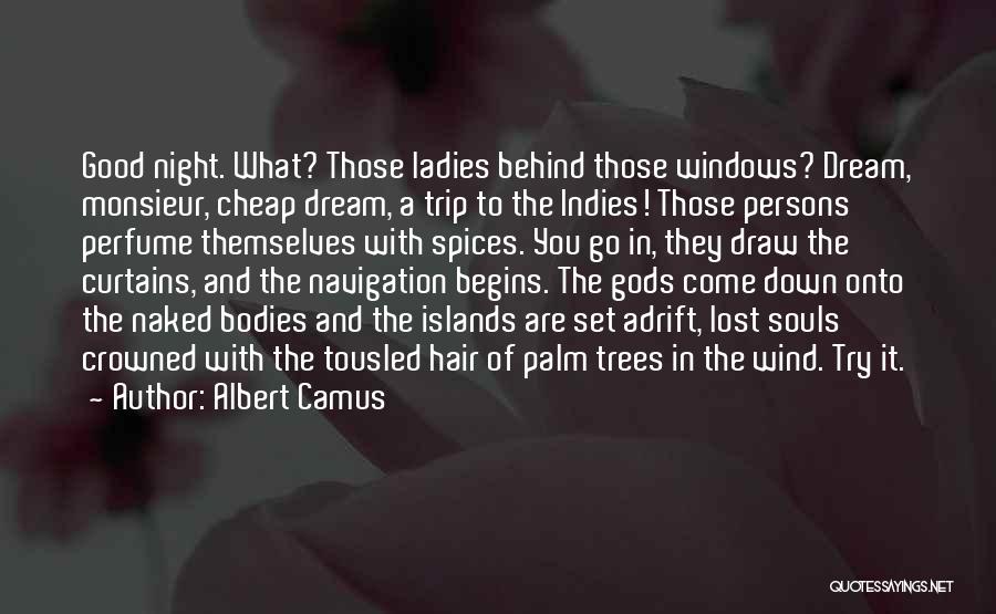 Ladies Night In Quotes By Albert Camus