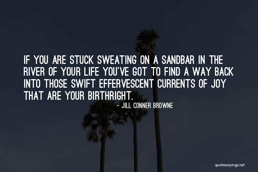 Lading Waterstof Quotes By Jill Conner Browne Lading Waterstof Quotes By Jill Conner Browne