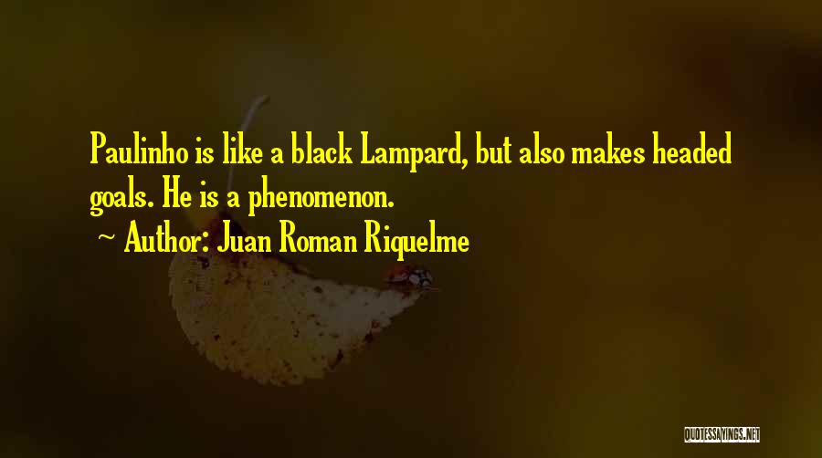 Ladish Forging Quotes By Juan Roman Riquelme