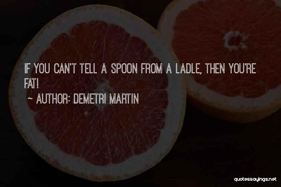 Ladle Quotes By Demetri Martin