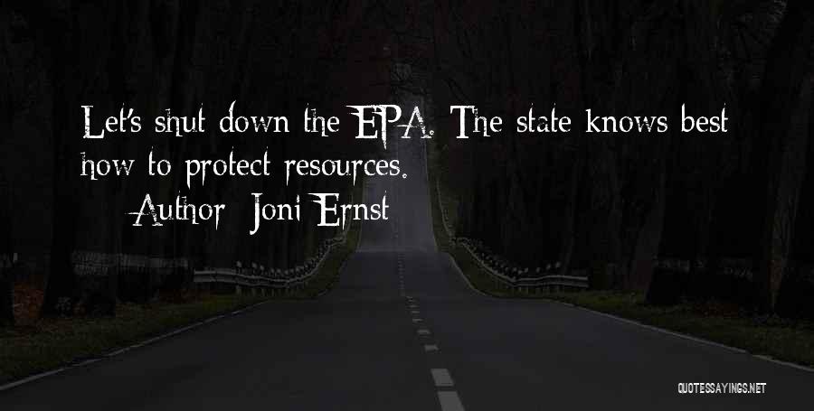 Ladlefuls Quotes By Joni Ernst