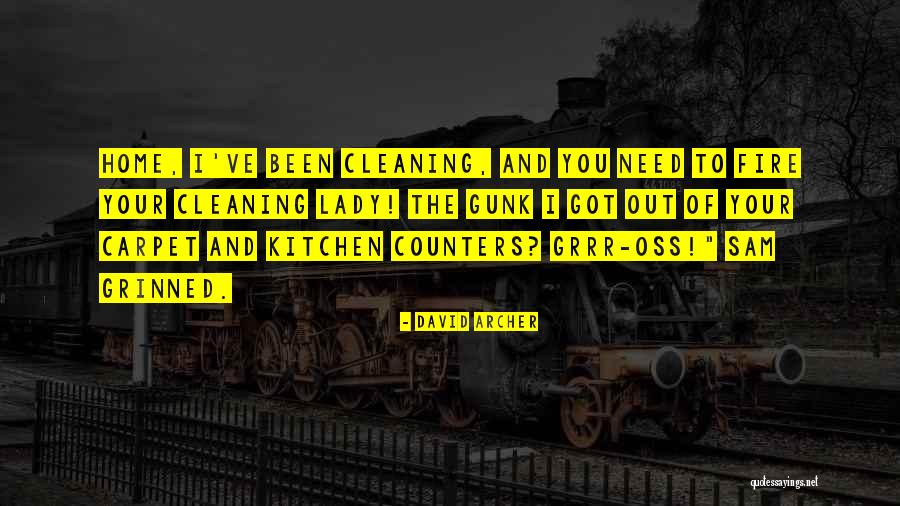 Lady Fire Quotes By David Archer Lady Fire Quotes By David Archer