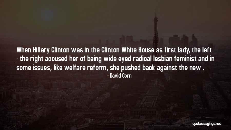 Lady In White Quotes By David Corn Lady In White Quotes By David Corn