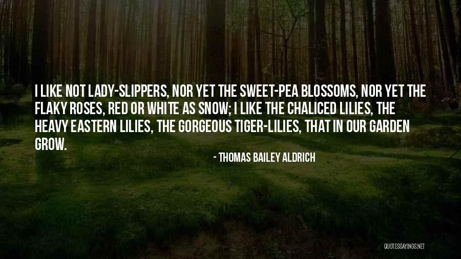 Lady In White Quotes By Thomas Bailey Aldrich Lady In White Quotes By Thomas Bailey Aldrich