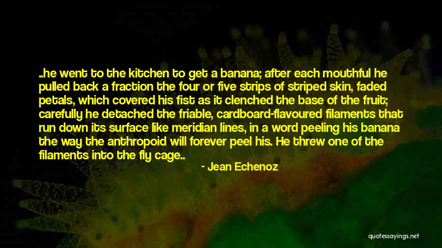 Lady Macbeth Fiend Like Queen Quotes By Jean Echenoz Lady Macbeth Fiend Like Queen Quotes By Jean Echenoz
