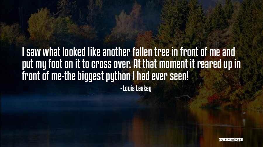 Lady Mary Crawley Quotes By Louis Leakey Lady Mary Crawley Quotes By Louis Leakey