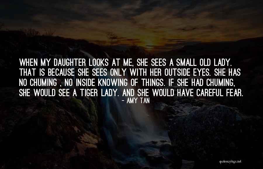Lady That Looks Quotes By Amy Tan Lady That Looks Quotes By Amy Tan