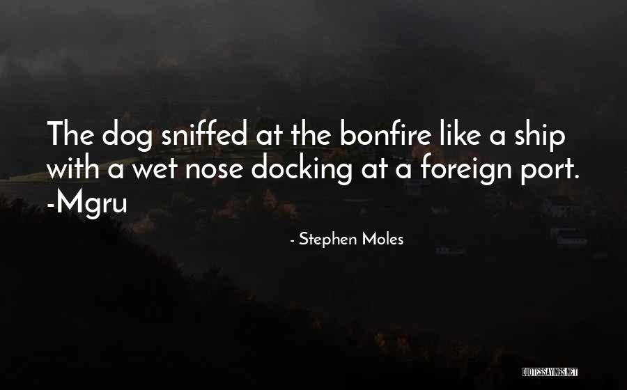 Ladyboy Quotes By Stephen Moles Ladyboy Quotes By Stephen Moles